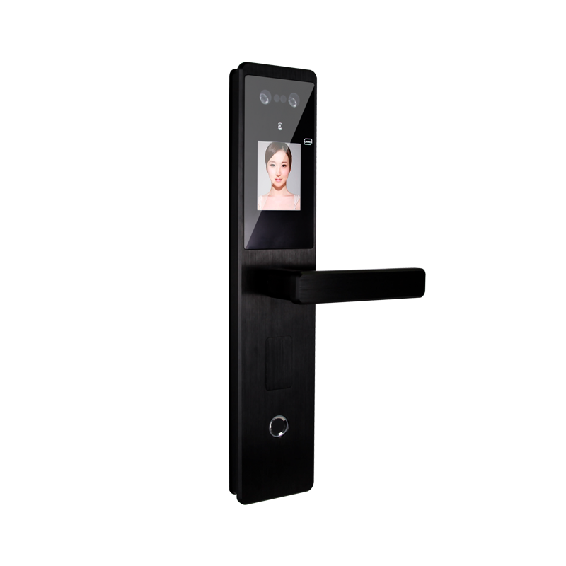 TUYA smart lock / face recognition smart lock / fingerprint lock EF25