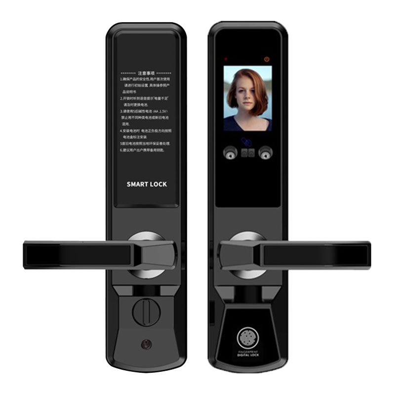 Face recognition smart lock / fingerprint lock / palmprint  R002