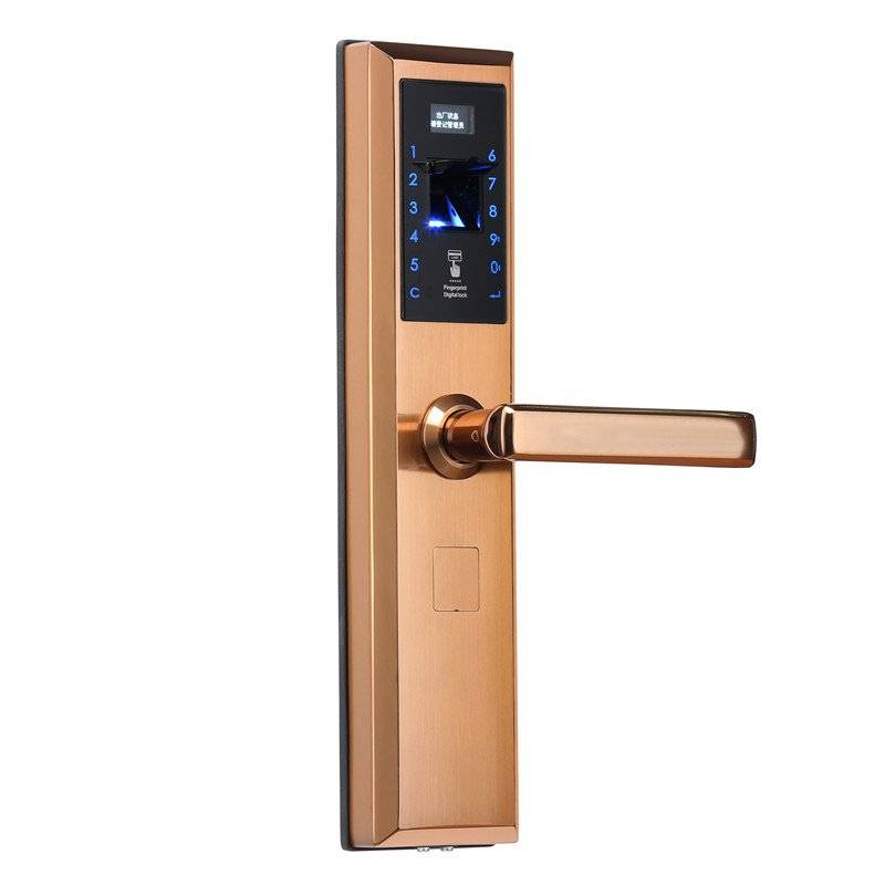 Smart lock /hotel lock RS-9100